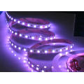 DC12V / 24V Ce Aprovado Flexível LED Light Strip